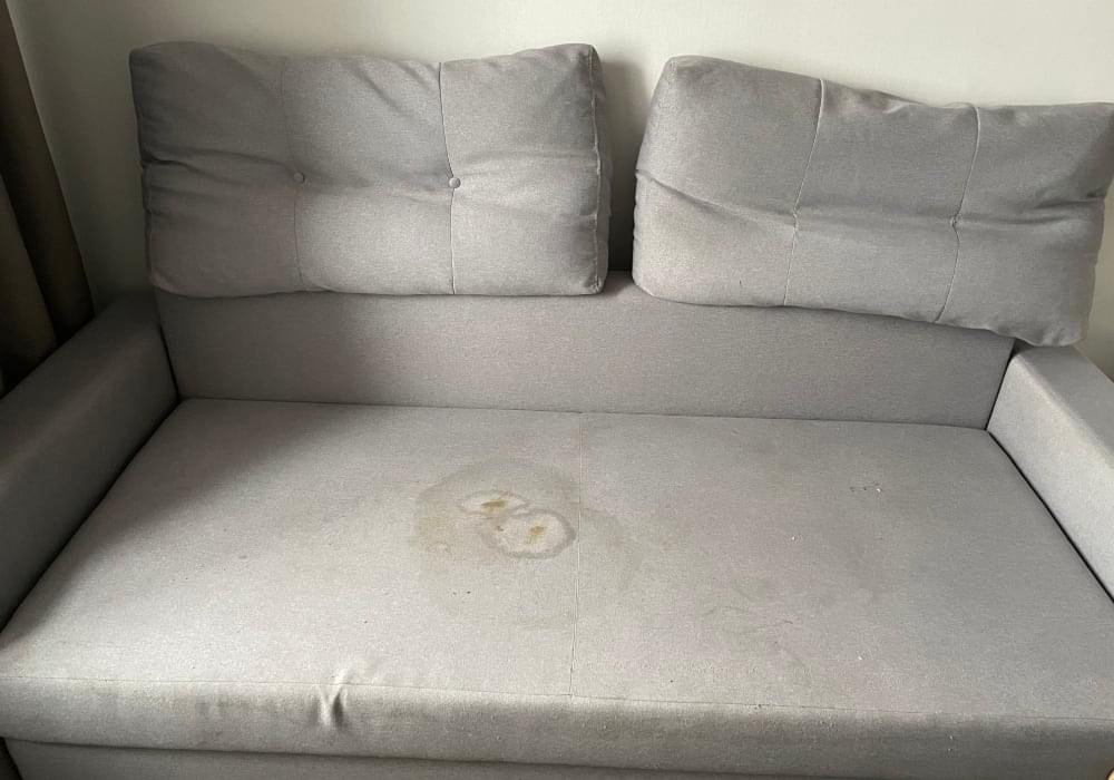 Чистка дивана от мочи